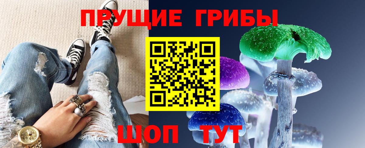 Галлюциногенные грибы мухоморы  Вход с VPN  Галлюциногенные грибы Psilocybine cubensis  Каспийск 