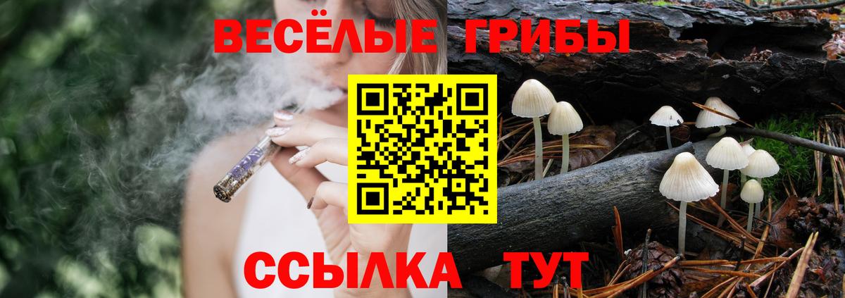 Псилоцибиновые грибы Magic Shrooms Каспийск